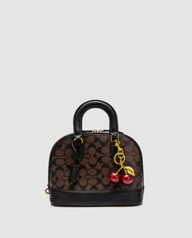 Coach Sierra Satchel In Signature Canvas Brown